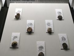 -古陶文明博物馆