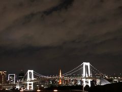 -台场海滨公园船码头