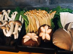 -手选潮汕鲜活牛肉火锅(二七广场店)