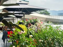 -The Happy Monk(前海壹方汇店)