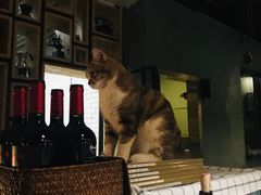 -咖法森林·咖啡  酒吧(天河店)