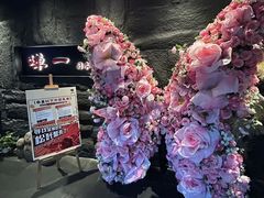 -蝉一日本料理(高新区店)