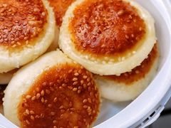 乡村饼夹肉-大鸭梨烤鸭店(花园村店)