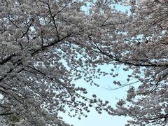 -杭州少年儿童公园
