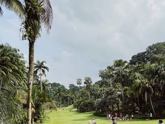 -新加坡植物园