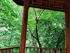 -九龙湾景区拓展会议