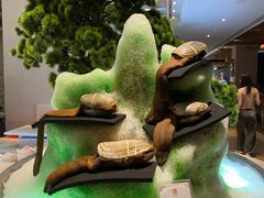 -雍和会海鲜姿造自助(湖东路店)