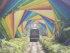 -合肥滨湖国家森林公园