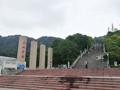 -铁山坪森林公园