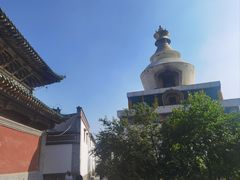 -塔尔寺