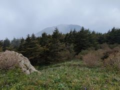 -白草畔自然风景区