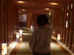 -重庆南山海昌汤都