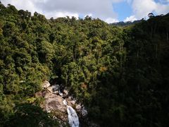 -海南热带雨林国家公园吊罗山景区