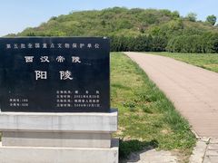 -汉景帝阳陵博物院
