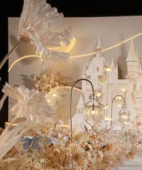 -明典婚礼策划·婚车租赁·婚纱摄影