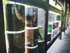 -白鹭湾湿地公园