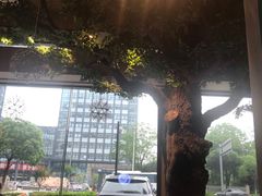 -迪欧咖啡·中西餐融合菜(平江万达旗舰店)