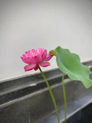 -爱儿美儿童摄影(五路居花园别墅店)