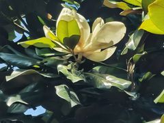 -敬亭山风景名胜区