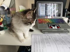 -纳吉亚猫专科动物医院博雅分院