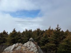 -白草畔自然风景区