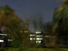 -河泥荡文化公园