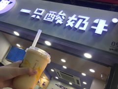 门面-一只酸奶牛(八一路店)