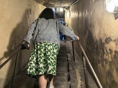 -圣母百花大教堂穹顶