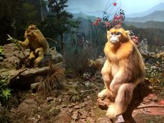 -陕西自然博物馆