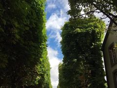 -卢森堡公园