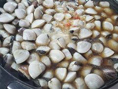 -顺德哥卜卜贝(旗舰店)