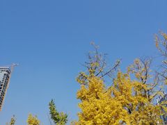 -两江幸福广场