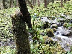 -硗碛藏寨·神木垒景区