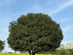 -重庆中央公园(渝北区)
