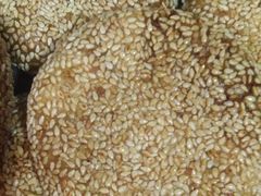 -南城十里潮汕鲜牛火锅·鲜虾生滚粥(融汇老商埠店)