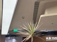 -苏小柳点心·手作小笼包(浦东嘉里城分院)