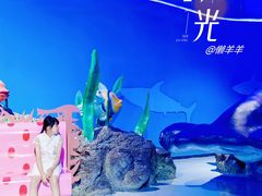 -泉城欧乐堡海洋极地世界