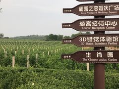 -北京张裕爱斐堡酒庄