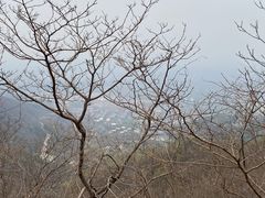 -北京西山国家森林公园