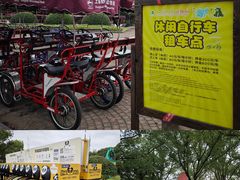 -上海野生动物园