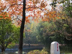 -源清中学