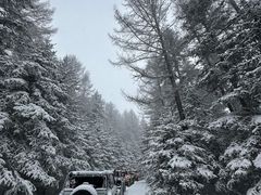 -芦芽山旅游度假区