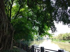 -小洲村