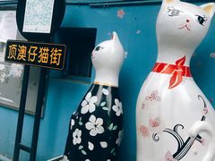 -猫咪博物馆(顶澳仔猫街店)