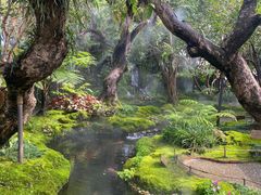 -Chom Cafe and Restaurant