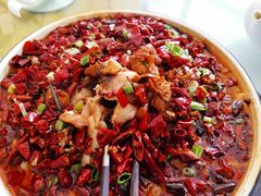 -春发芽葫芦头(科技二路旗舰店)