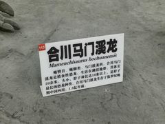 -吉林省自然博物馆