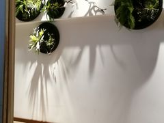 -河风精致寿司(昌平店)