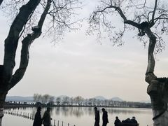 -楼外楼(西湖景区孤山路店)