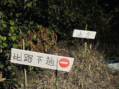 -南丫岛